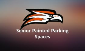  Senior Painted Spaces